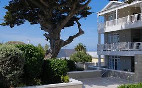 Penguin Paradise Apartment Simons Town